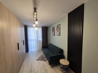 Apartament na Sowiej - Przylesie - 2