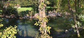 Ferienhaus am Fluss - Pinsdorf - 5