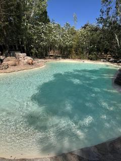 EcoCabaña El Refugio - 6