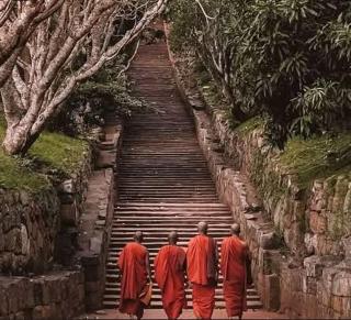 Green cabin mihintale - 2