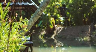 Banmaihom Resort Amphawa - 6