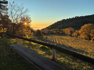 Les goûts et les couleurs - 7