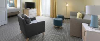 Sonesta ES Suites Ann Arbor - 9