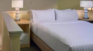 Sonesta ES Suites Ann Arbor - 4