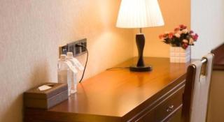 GreenTree Eastern Hotel Handan Daming Bus Station - 3