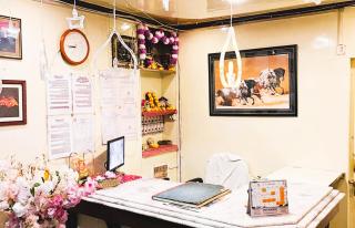 Araniko Darjeeling With best View - अरनिको दार्जिलिंग - 2