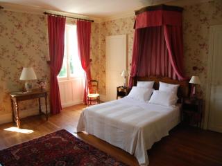 Chambres d'Hôtes Le Château de la Plante - Thuré - 1