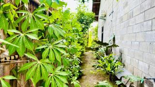 Charming Purisani 4BR House with Garden in Sleman Yogyakarta by Le Ciel Hospitality - 4