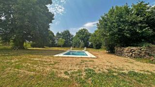 Le vieux tilleul - 8