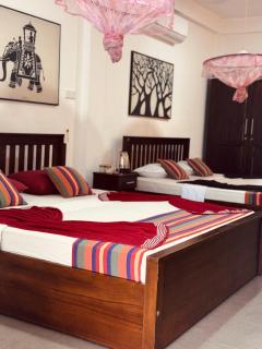 Elephant Reach Udawalawe - 2