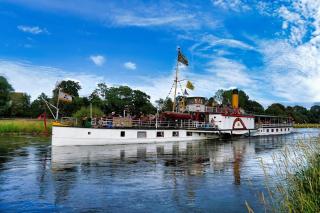 Stadtwohnung ElbGlück grosses Appartement mit eigenem Parkplatz - 1