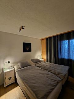 appartement Veysonnaz, Valais, ski, mountain biking, raquettes, balades - 5