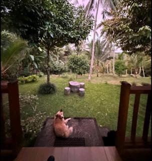 Sugita Wooden House - 7