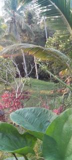 Sugita Wooden House - 3