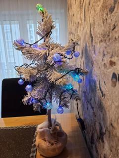 Kameralny Apartament z Balkonem - 7