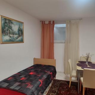 2 Zi Souterrain Wohnung in Wiesbaden Schierstein - 5