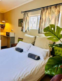 Modern studio in Greendale - 2337 - 0