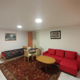 2 Zi Souterrain Wohnung in Wiesbaden Schierstein - 7