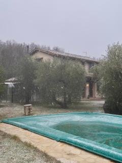 La Bandita Cottage - 2