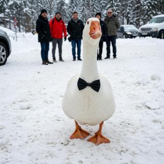 ROOM & PARKING in Centro Città con Parcheggio Privato e WIFI - 9