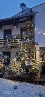 Apartments Barac - 8