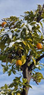 Apartments Barac - 7