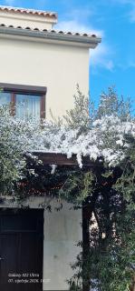 Apartments Barac - 6