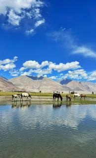 Mystique meadows earth homes - 2