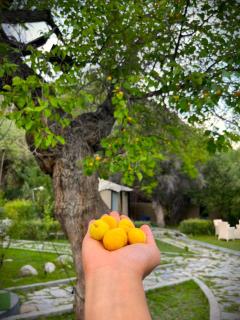 Mystique meadows earth homes - 4