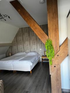 Bed en Bike Oudeschild - 5