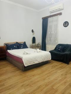 Gudiashvili Apartment - Tbilisi - 9
