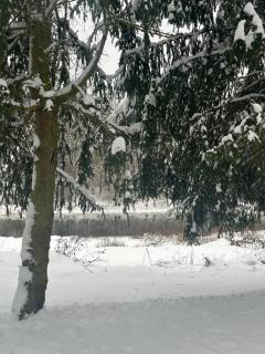 Rzeczny Zakątek nad Wkrą - 7