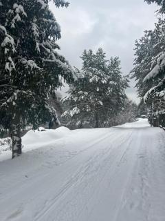 Rzeczny Zakątek nad Wkrą - 9