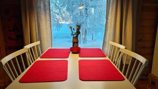 Log cabin on the banks of Ounasjoki River - 5