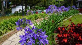 SPOT ON 89751 Bed Station Guest House - 2