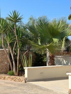 le tre stelle di sabbia - 6