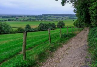 Recreatieboerderij Tergracht - t Schob - 2