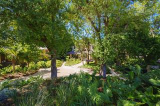 Sea Grove House villa - 8