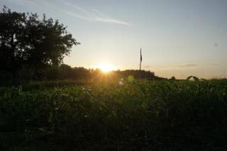 Naturnah und familienfreundlich - 6