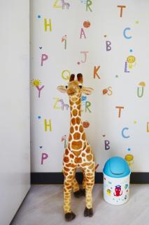 Gangreung refresh odaesanjeom - 6