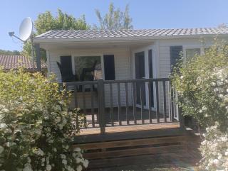 Rouge-gorge - TG2189 - 7