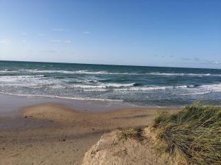 Beachside Serenity-By Traum - 6