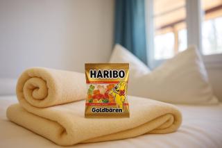 Landesmusikakademie Hessen dz - 8