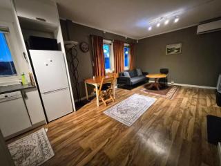 Cosy flat with its own entrance and parking - Harstad - 9
