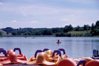 Mésange - TG2187 - 7