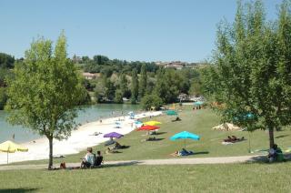 Mésange - TG2187 - 1