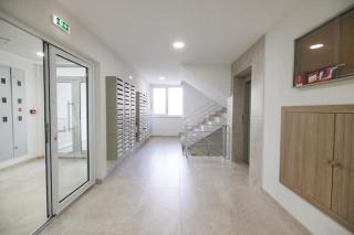 Javorov list LUX - 6