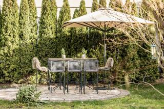 Villa Stella all famous ski areas around us, 15 minutes to salzburg, mountainview - 6