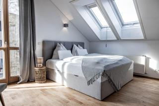 Villa Stella all famous ski areas around us, 15 minutes to salzburg, mountainview - 9