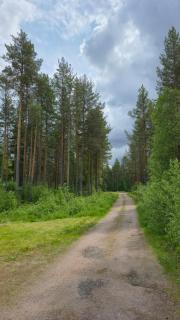 Peaceful Forest Cabin in Dalarna with Fireplace & Patio - 2